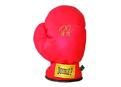 Winning Edge Pat Perez Boxing Glove Headcover