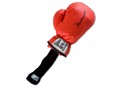 Mohammad Ali Boxing Glove Golf Head Cover