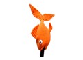 Butthead Golf Koi Boy Goldfish Headcover