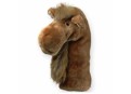 Daphnes Camel Headcover
