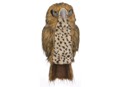 Daphnes Hawk Headcover