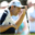 Padraig Harrington