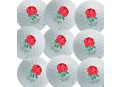 England Rugby Team Golf Balls (12 Balls)
