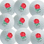 Other New Golf Balls
