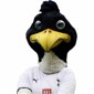 Premier League Golf Patriotic and Football Headcovers