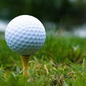 Avantha Masters trophy unveiled
