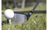 Pet dog eats golf fan's Masters tickets