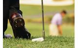 New FootJoy Icons offer 'style and performance'