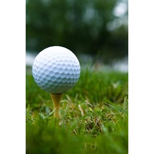 Play like a pro with Titleist golf balls