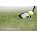 Future golf stars tee off