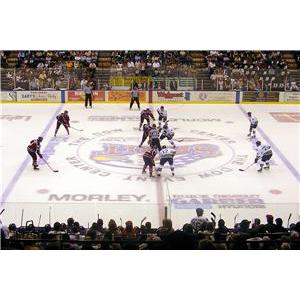Golf cart accident curtails NHL star's season