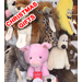 Gifts Idea under £50, £100 & £250