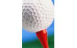 Dixon Golf signs the Beast as High-Performance Earth ED ball ambassador