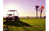 New Srixon bags cater for all tastes