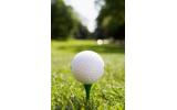 'Iconic' Isle of Man championship golf course up for sale