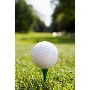 'Iconic' Isle of Man championship golf course up for sale