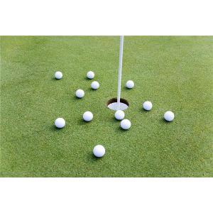 PGA Tour Putting Green 'great for practising at home'