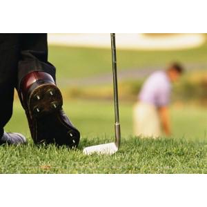 Dawgs Spirit Golf Shoes "like walking on air"