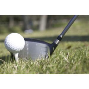 PGA Tour Telescopic Ball Retriever 'pays for itself'