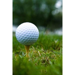 Avoid the dreaded pencil hunt with the PGA Tour Electronic Score Card