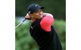 Tiger Woods may retire if slump continues - Bernard Gallacher