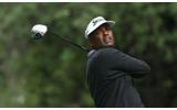 Profile: Vijay Singh
