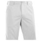 Under Armour Golf Shorts, Skirts, Skorts