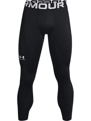 Under Armour Mens ColdGear Leggings