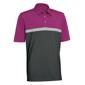 Ashworth Golf Shirts