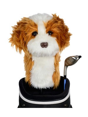Daphnes Cavapoo Headcover