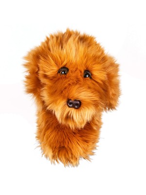 Daphnes Doddle Dog Headcover