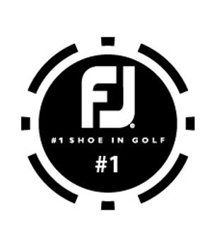 Fj poker chip