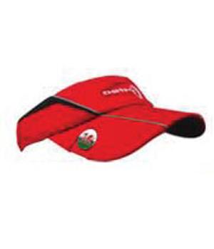 Asbri Evo TourMark Visor