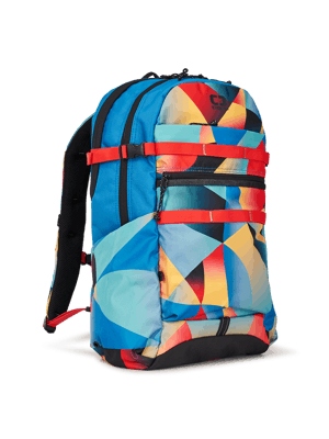 Ogio Alpha 20L Backpack