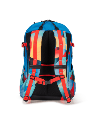 Ogio Alpha 20L Backpack
