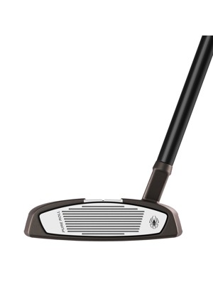 TaylorMade Spider Tour TruePath Small Slant Putter