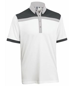 Ashworth Blocked Polo 2012