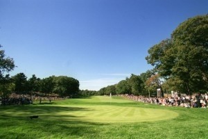 Golfer survives after plunging into sink hole