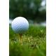 Cleveland 588 Forged Satin Wedge 'can improve performance'