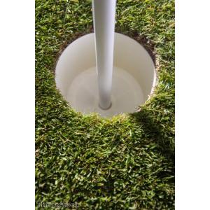 Golfer sinks hole-in-one twice