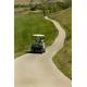 Electric golf trolleys can reduce handicaps