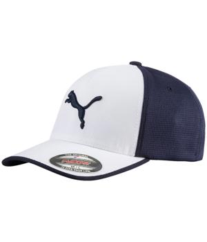 puma dri fit caps
