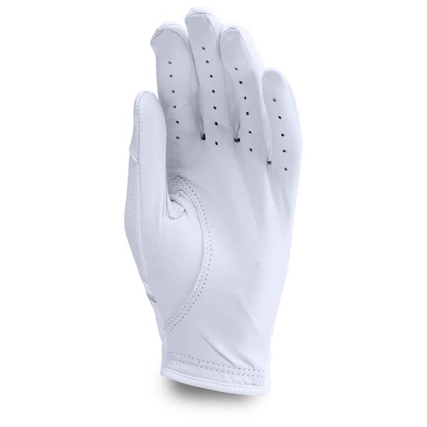 coolswitch golf glove