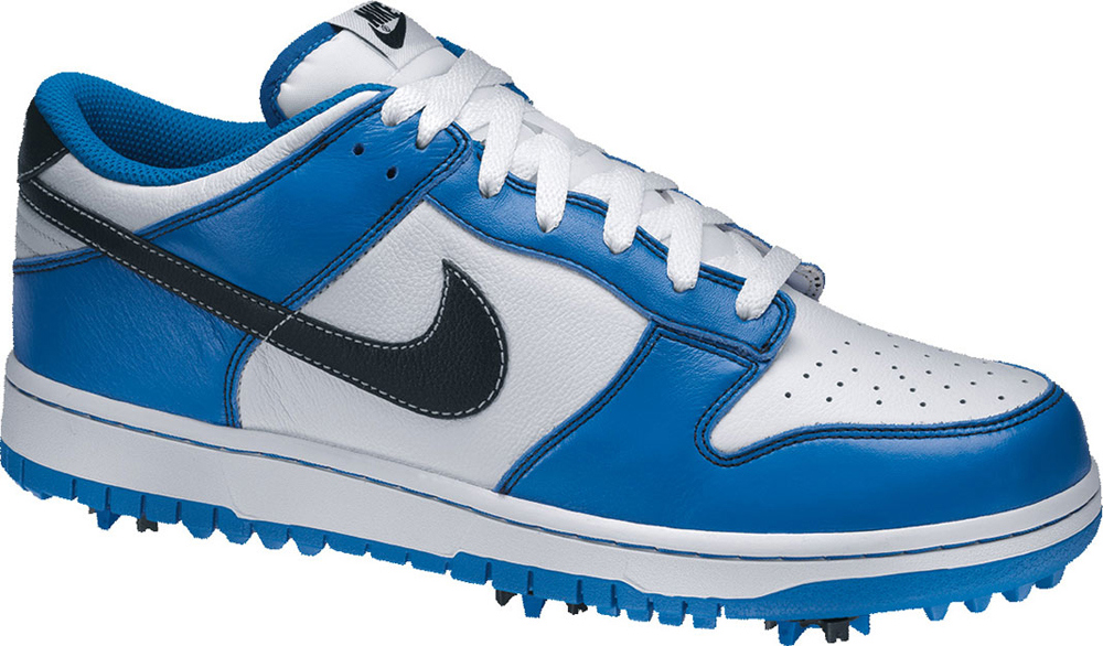 nike men's dunk ng golf shoes