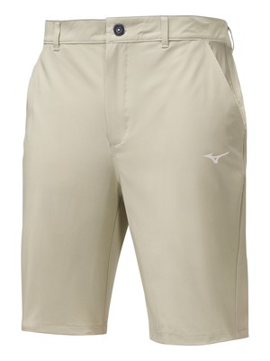 Mizuno Mens Fade Shorts