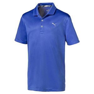 Puma Junior Boys Essential Polo Shirt