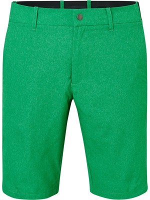 Abacus Mens Huntingdale Shorts