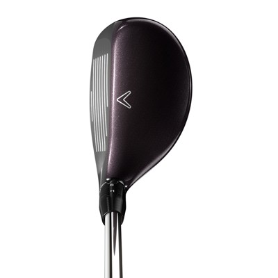 big bertha reva hybrid 2023 address
