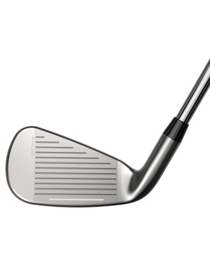 Cobra DS-Adapt Irons (Steel Shaft)