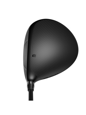 Cobra DS-Adapt LS Driver